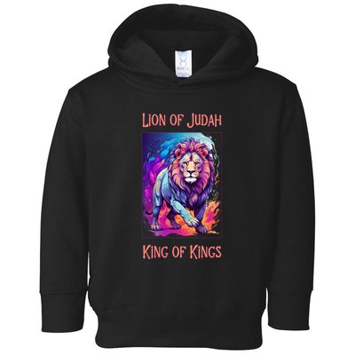 Christian Faith Jesus Christ Lion Of Judah Toddler Hoodie