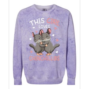 Chinchilla Funny Just a  Who Loves Chinchillas Colorblast Crewneck Sweatshirt