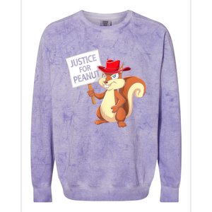 Christmas Funny Justice For Peanut Pnut Squirrel Pnut Justice Gift Colorblast Crewneck Sweatshirt