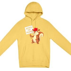 Christmas Funny Justice For Peanut Pnut Squirrel Pnut Justice Gift Premium Pullover Hoodie