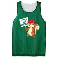 Christmas Funny Justice For Peanut Pnut Squirrel Pnut Justice Gift Mesh Reversible Basketball Jersey Tank