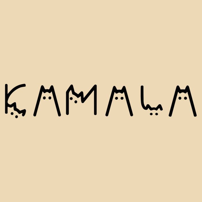 Cats For Kamala Harris Zip Tote Bag