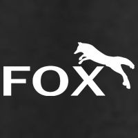 Cute Fox Logo Hat