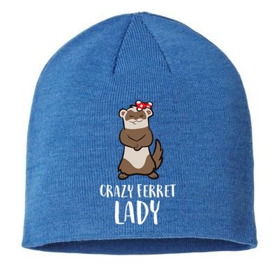 Crazy Ferret Lady Cute Ferret Mom Gift Sustainable Beanie