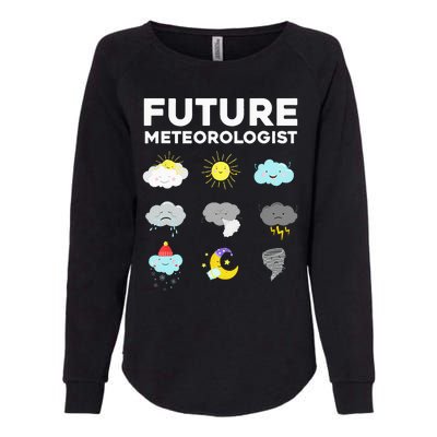 Cool Future Meteorologist For Men Women Weather Forecasting Womens California Wash Sweatshirt