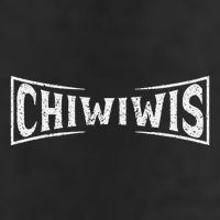 Chiwiwis Funny Mma Fighter Quote For Athletes Fans Coaches Adult Drive Performance Visor