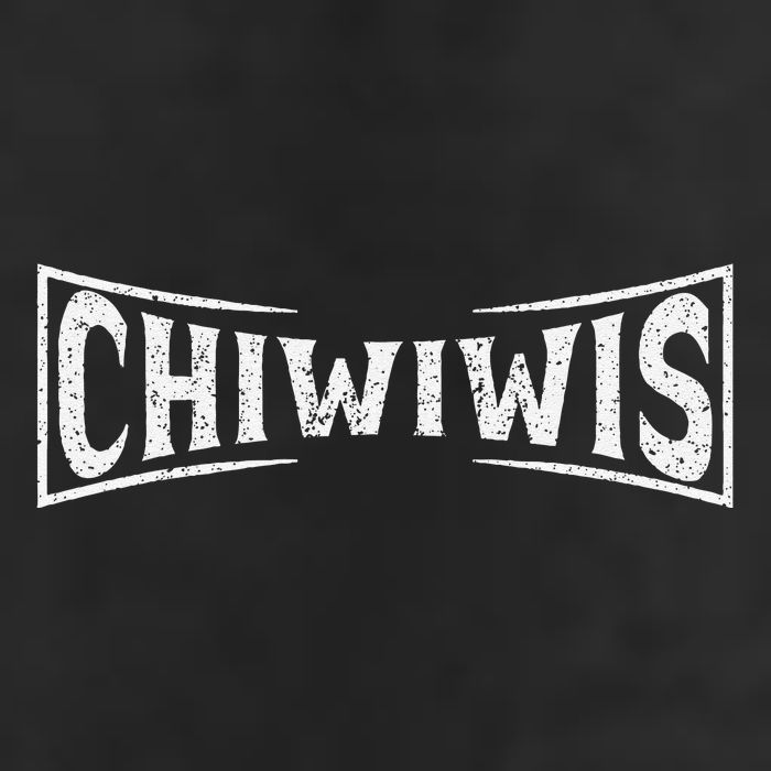 Chiwiwis Funny Mma Fighter Quote For Athletes Fans Coaches Adult Drive Performance Visor