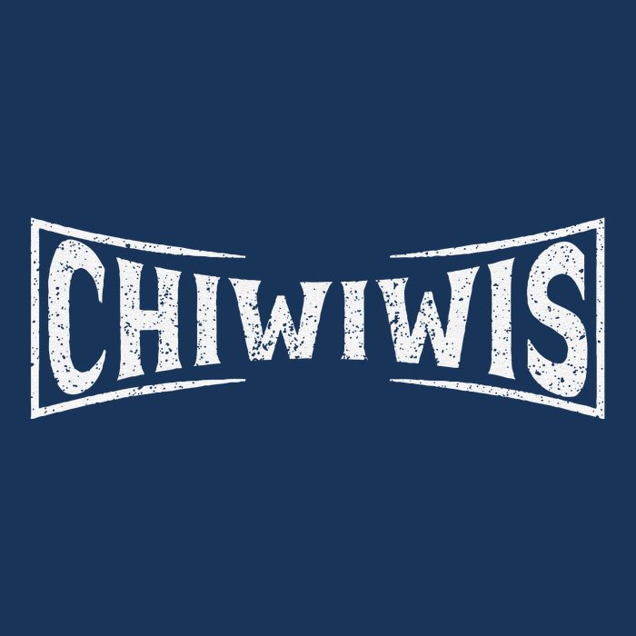 Chiwiwis Funny Mma Fighter Quote For Athletes Fans Coaches 16 in Basic Backpack