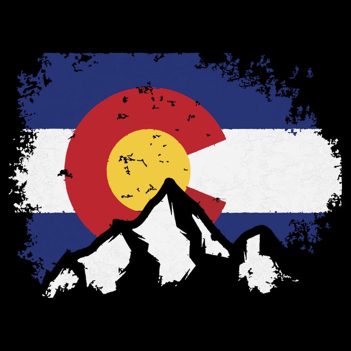 Colorado Flag Mountain Ski Winter Gift Hiker Hiking Camping Kids T-Shirt