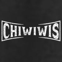 Chiwiwis Funny Mma Fighter Quote For Athletes Fans Coaches 11oz C Handle Ceramic Mug