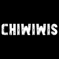 Chiwiwis Funny Mma Fighter Quote For Fans And Athletes Flat Bill Trucker Hat