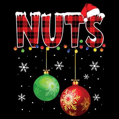 Chestnuts Funny Matching Couples Christmas Lights Nuts T-Shirt