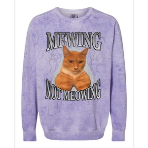 Cat Funny Meme Mewing Not Meowing Colorblast Crewneck Sweatshirt