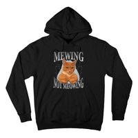 Cat Funny Meme Mewing Not Meowing Hoodie