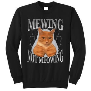 Cat Funny Meme Mewing Not Meowing Sweatshirt