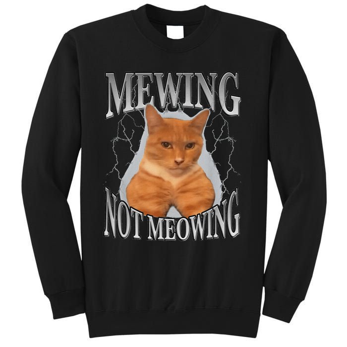 Cat Funny Meme Mewing Not Meowing Sweatshirt