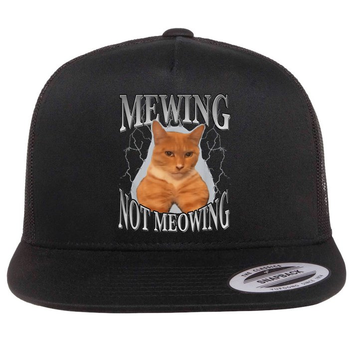 Cat Funny Meme Mewing Not Meowing Flat Bill Trucker Hat