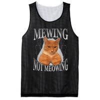 Cat Funny Meme Mewing Not Meowing Mesh Reversible Basketball Jersey Tank