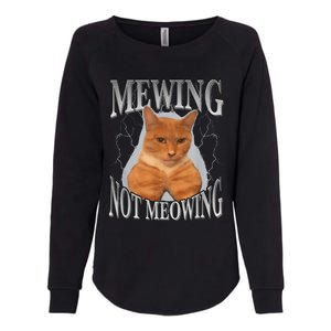 Cat Funny Meme Mewing Not Meowing Womens California Wash Sweatshirt