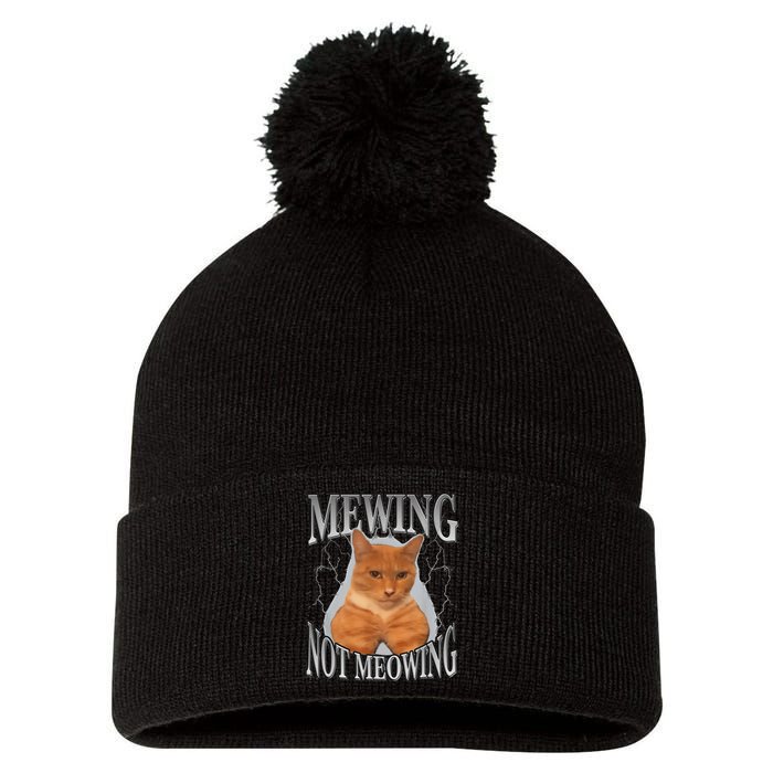 Cat Funny Meme Mewing Not Meowing Pom Pom 12in Knit Beanie