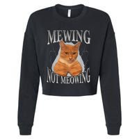 Cat Funny Meme Mewing Not Meowing Cropped Pullover Crew