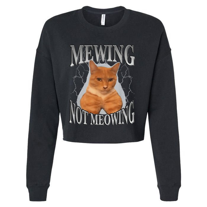 Cat Funny Meme Mewing Not Meowing Cropped Pullover Crew