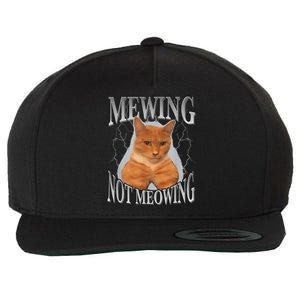 Cat Funny Meme Mewing Not Meowing Wool Snapback Cap