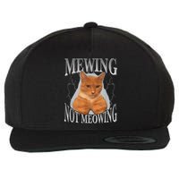 Cat Funny Meme Mewing Not Meowing Wool Snapback Cap