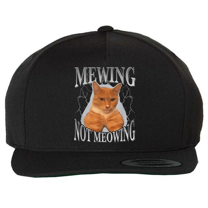 Cat Funny Meme Mewing Not Meowing Wool Snapback Cap