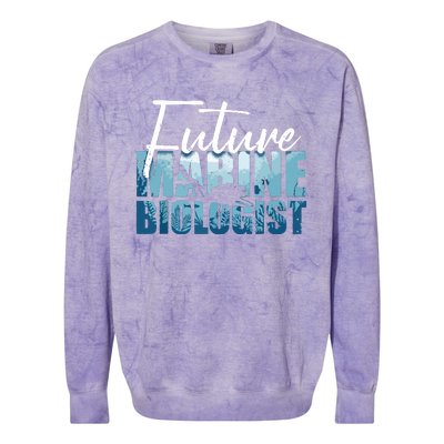 Cool Future Marine Biologist For Men Women Marine Biology Colorblast Crewneck Sweatshirt