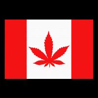 Canada Flag Marijuana Leaf Red Cannabis Impact Tech Backpack