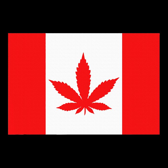Canada Flag Marijuana Leaf Red Cannabis Impact Tech Backpack