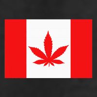 Canada Flag Marijuana Leaf Red Cannabis 11oz C Handle Ceramic Mug