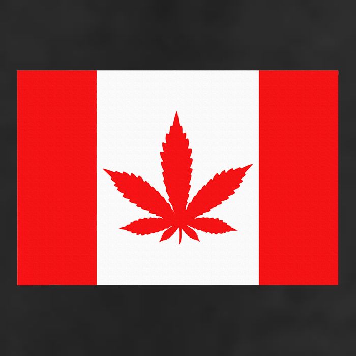 Canada Flag Marijuana Leaf Red Cannabis 11oz C Handle Ceramic Mug