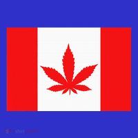 Canada Flag Marijuana Leaf Red Cannabis Premium T-Shirt