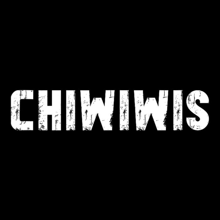 Chiwiwis Funny Mma Fighter Quote For Fans And Athletes Flat Bill Trucker Hat