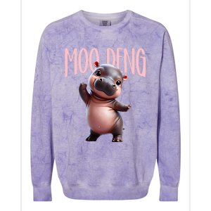 Cute Funny Moodeng Baby Boo Deng Baby Hippo Zoo For Family Colorblast Crewneck Sweatshirt