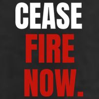 Cease Fire Now. 11oz C Handle Ceramic Mug