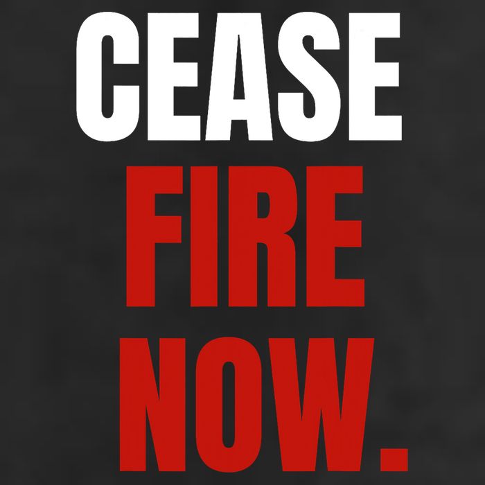 Cease Fire Now. 11oz C Handle Ceramic Mug