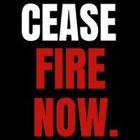 Cease Fire Now. 16 in Basic Backpack