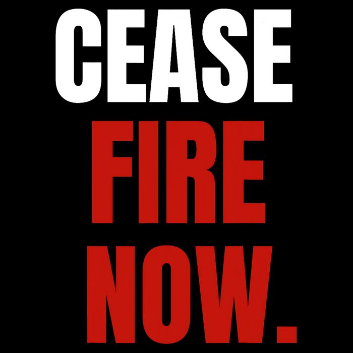 Cease Fire Now. 16 in Basic Backpack