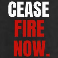 Cease fire Now. Adult Drive Performance Visor