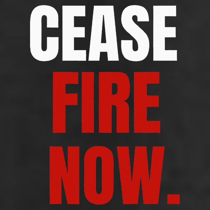 Cease fire Now. Adult Drive Performance Visor