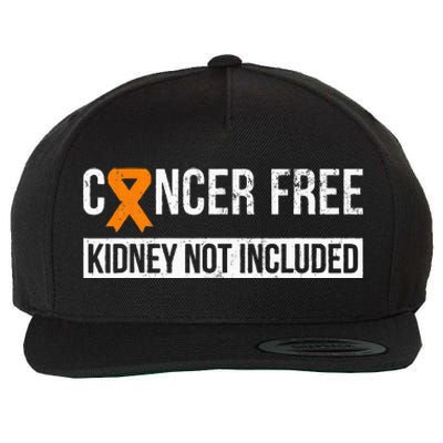 Cancer Free Not Included Kidney Cancer Awareness Wool Snapback Cap