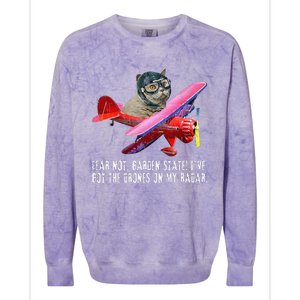 Cat Fear Not Garden State IVe Got The Drones On Radar Colorblast Crewneck Sweatshirt