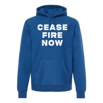 Cease fire Now Not In Our Name Premium Hoodie