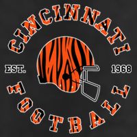 Cincinnati Football Ohio 7 Panel Mesh Trucker Snapback Hat