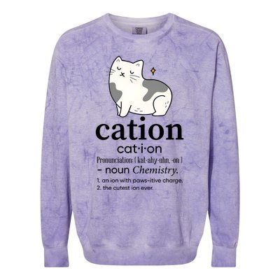 Cation Funny Pronoun Chemistry Cat Lover Pet Lover Colorblast Crewneck Sweatshirt