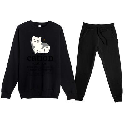 Cation Funny Pronoun Chemistry Cat Lover Pet Lover Premium Crewneck Sweatsuit Set