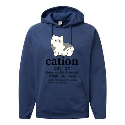 Cation Funny Pronoun Chemistry Cat Lover Pet Lover Performance Fleece Hoodie